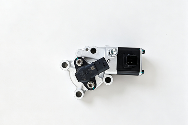 WG2209230006 Shift Cylinder Assembly